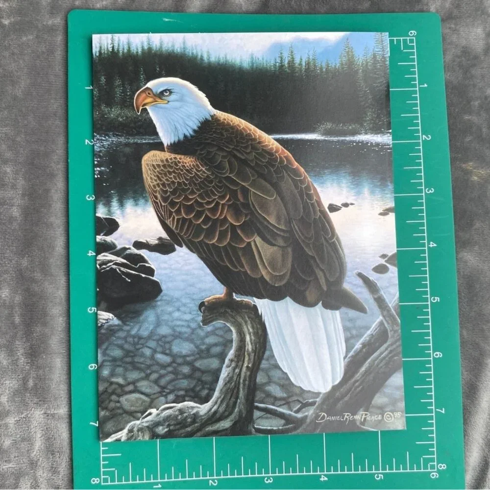 EAGLE PORTRAIT VTG Daniel Renn Pierce Birthday Greeting Card Magnet Leanin' Tree
